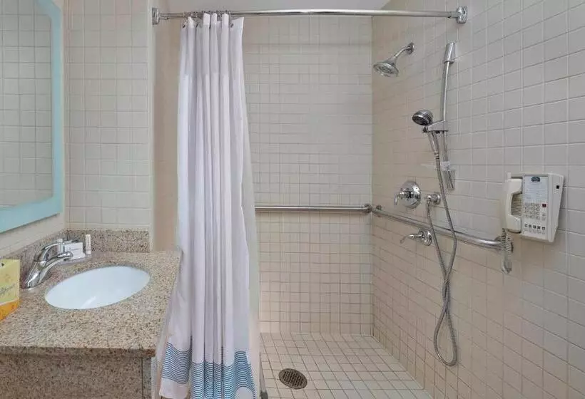キングサイズベッドのスイートルーム, Towneplace Suites By Marriott Albany Downtown/medical Center