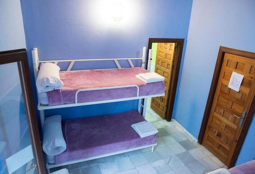 اتاق استاندارد چهار تخته, White Nest