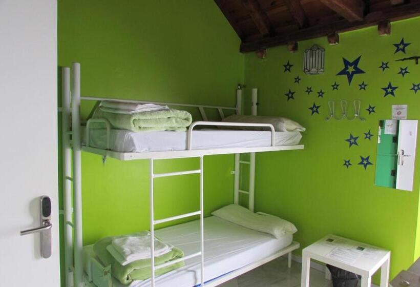 اتاق استاندارد چهار تخته, White Nest