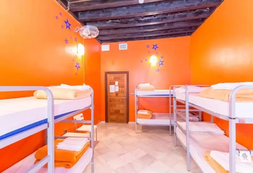 Chambre Familiale, White Nest