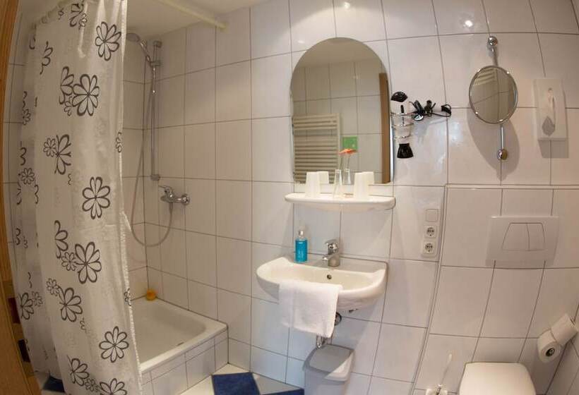 Номер Стандарт, Boutiquehotel Goldene Rose   Self Check In