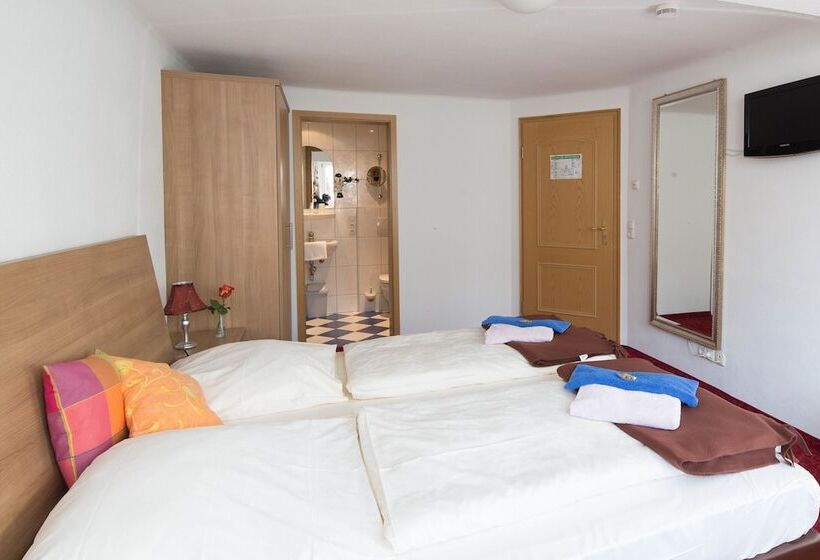 חדר סטנדרט, Boutiquehotel Goldene Rose   Self Check In