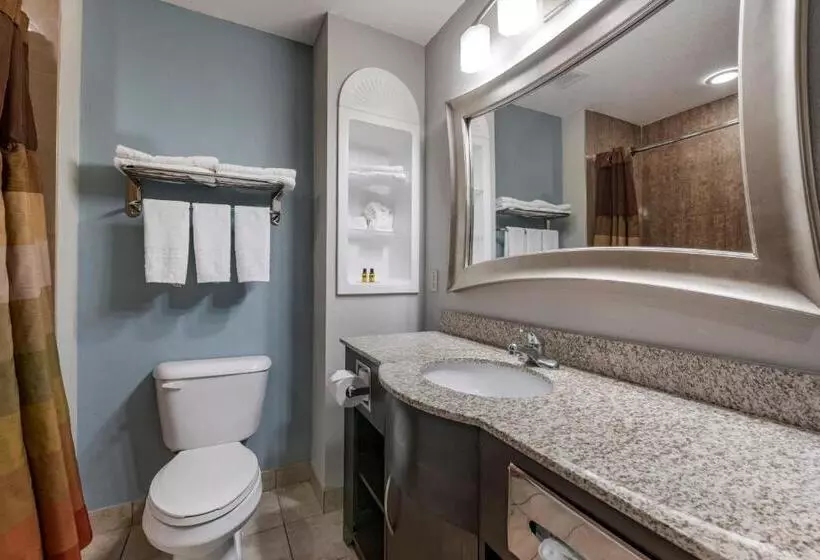 キングサイズベッドのスタンダードルーム, Best Western Plus Bradenton Gateway