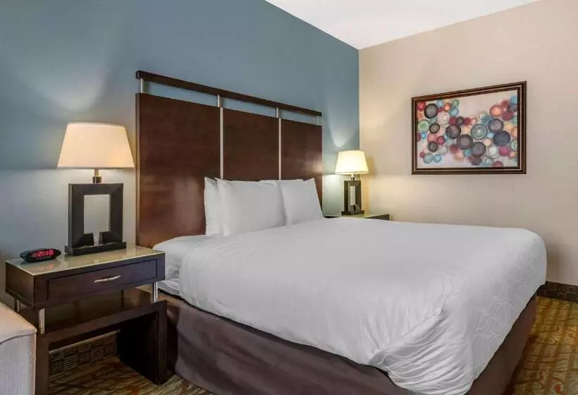 キングサイズベッドのスタンダードルーム, Best Western Plus Bradenton Gateway