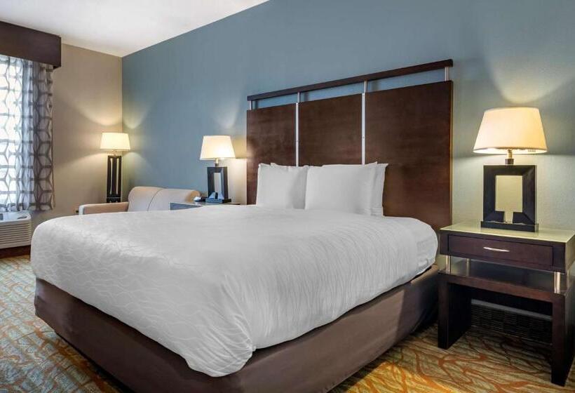 带大床的标准间, Best Western Plus Bradenton Gateway