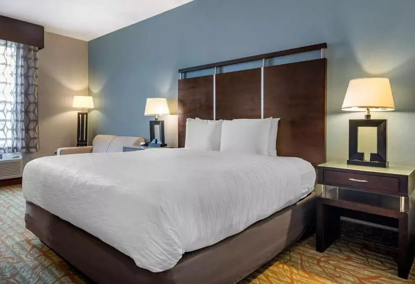 キングサイズベッドのスタンダードルーム, Best Western Plus Bradenton Gateway