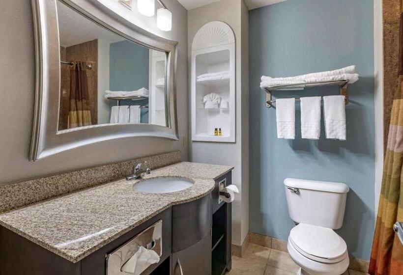 标准间, Best Western Plus Bradenton Gateway