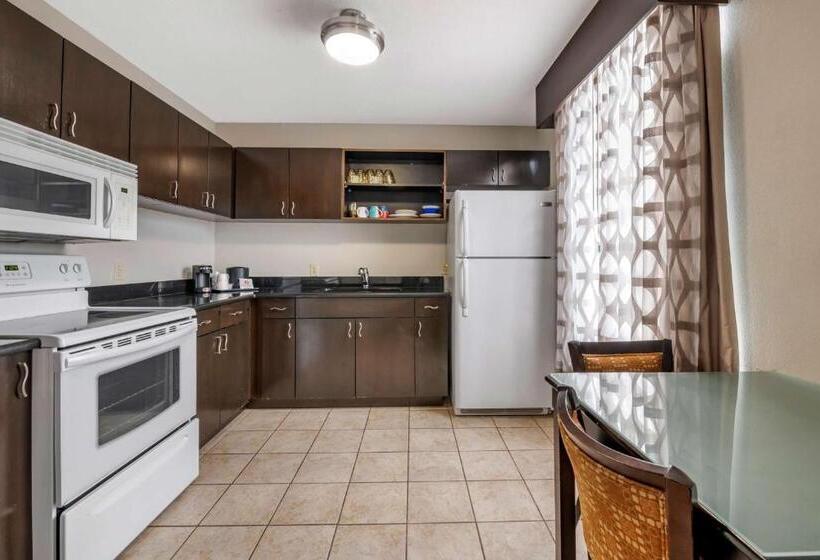 带大床的套房, Best Western Plus Bradenton Gateway