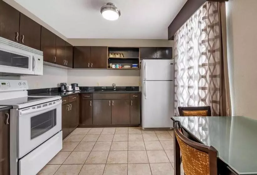 キングサイズベッドのスイートルーム, Best Western Plus Bradenton Gateway