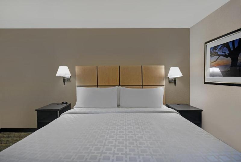 小型套房, Best Western Plus Welcome Hotel Frankfurt