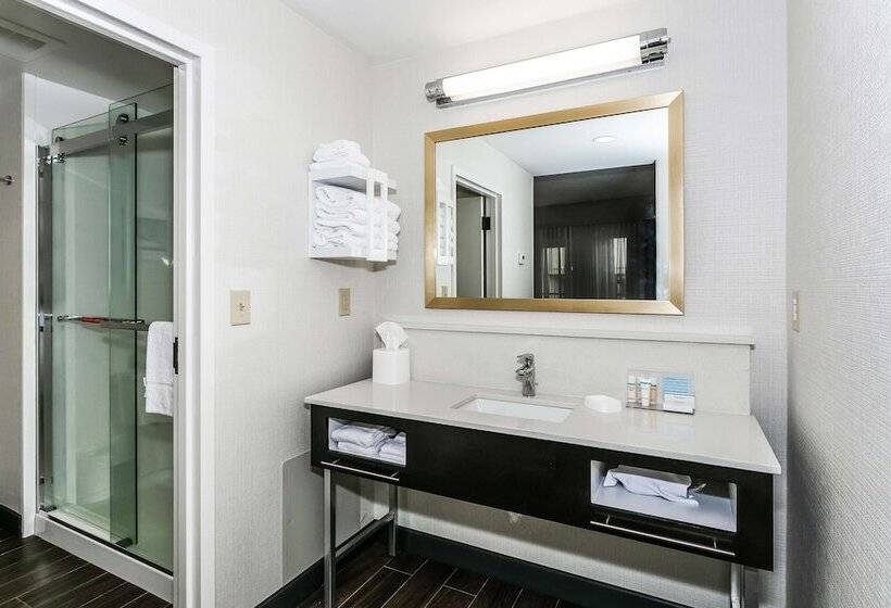 スイート, Hampton Inn & Suites Mobile  Downtown Historic District