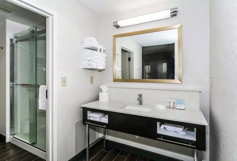 スイート, Hampton Inn & Suites Mobile  Downtown Historic District