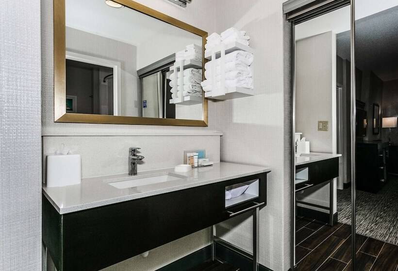 スイート, Hampton Inn & Suites Mobile  Downtown Historic District