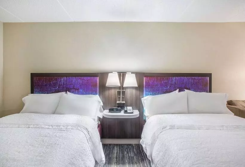 ２ダブルベッドのスタンダードルーム, Hampton Inn Fishkill