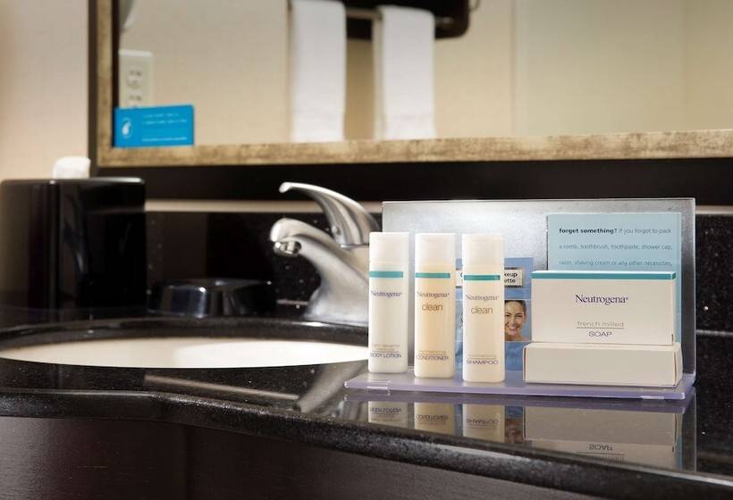 장애인을 위한 스탠다드 룸, Hampton Inn & Suites Chicago Southlandmatteson