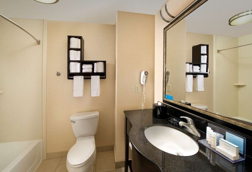 장애인을 위한 스탠다드 룸, Hampton Inn & Suites Chicago Southlandmatteson