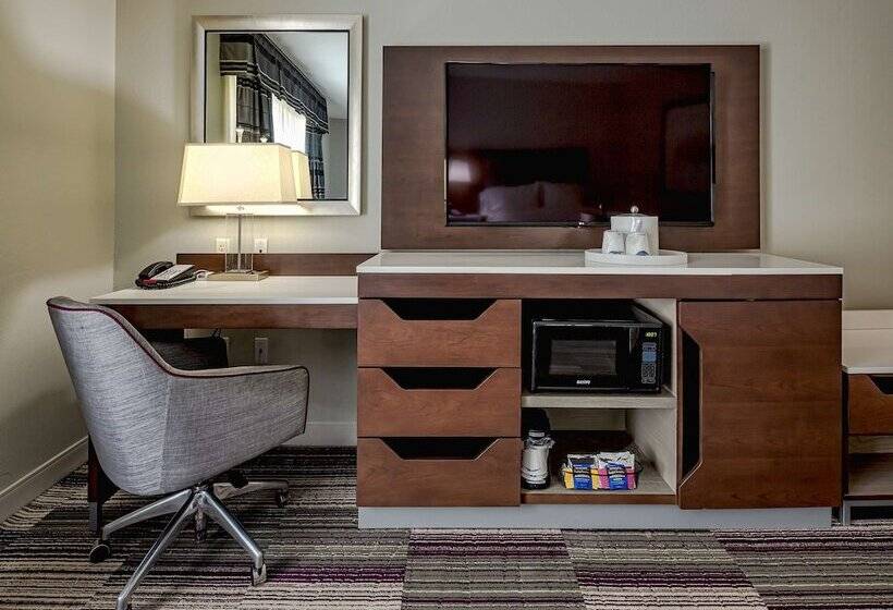 장애인을 위한 스탠다드 룸, Hampton Inn & Suites Chicago Southlandmatteson