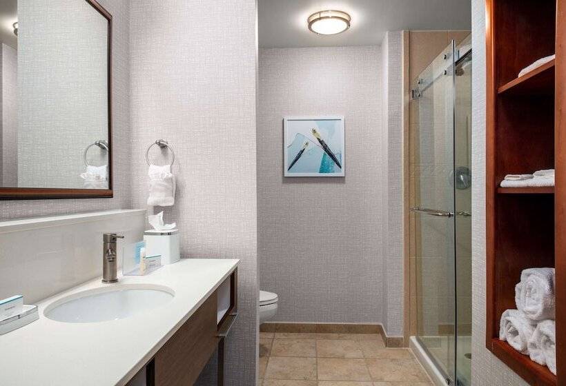 חדר סטנדרט, Hampton Inn & Suites Homestead Miami South