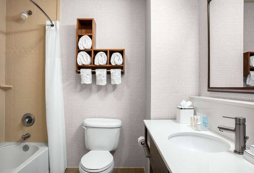 غرفة قياسية, Hampton Inn & Suites Homestead Miami South