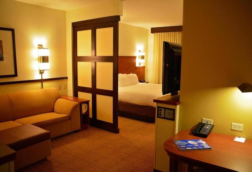 Стандартный Номер Кровать Кинг, Hyatt Place North Charleston