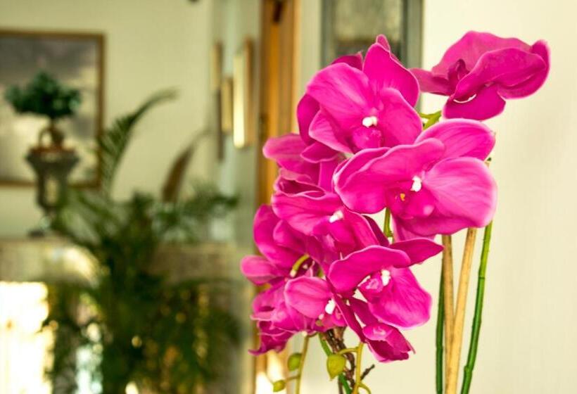 スタンダードルーム, Hostal Juan Carlos