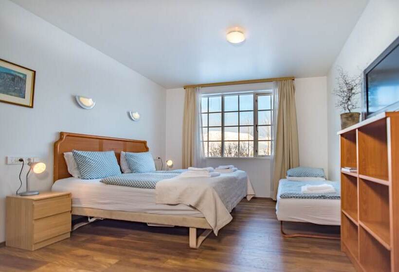 Economy Studio, Laxnes