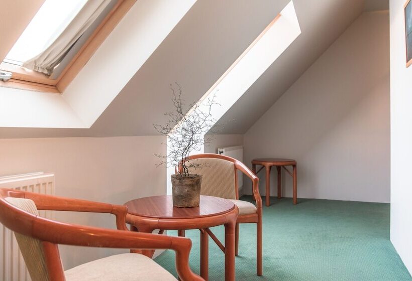 Deluxe Room Mountain View, Laxnes