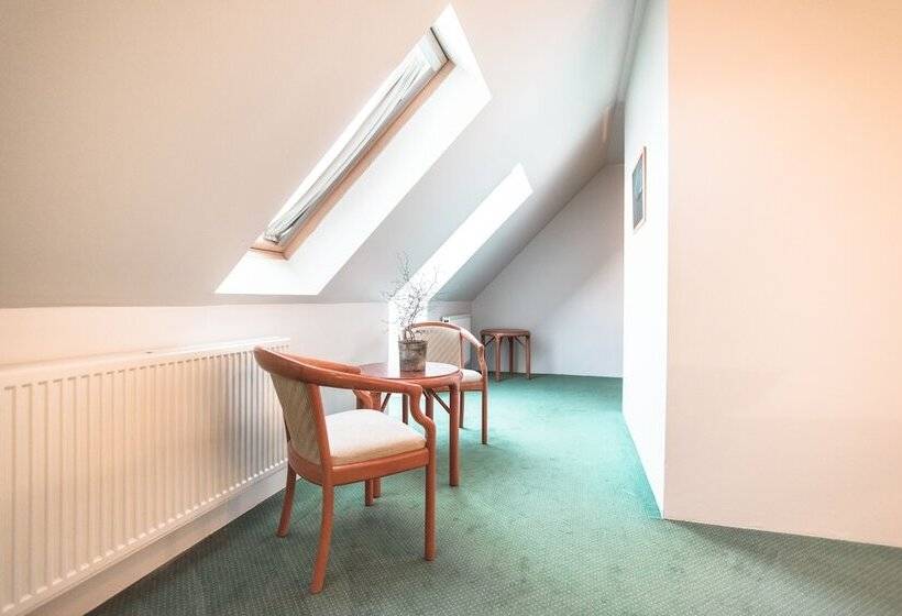 Deluxe Room Mountain View, Laxnes