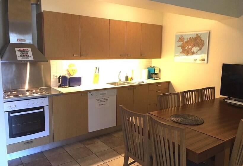 آپارتمان 4 خوابه, Downtown Reykjavík Apartments