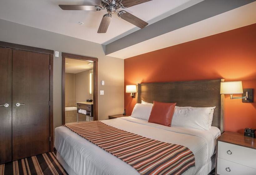 דירת חדר, Evolution Whistler