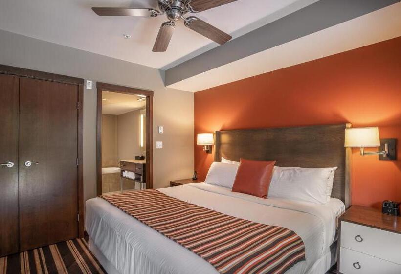 Apartamento 1 Dormitório, Evolution Whistler