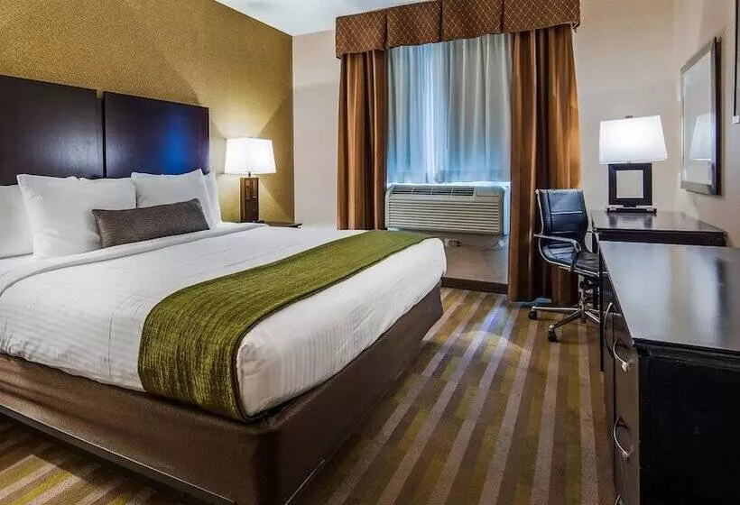 سوییت, Best Western Plus Plaza