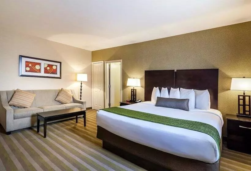 سوییت, Best Western Plus Plaza