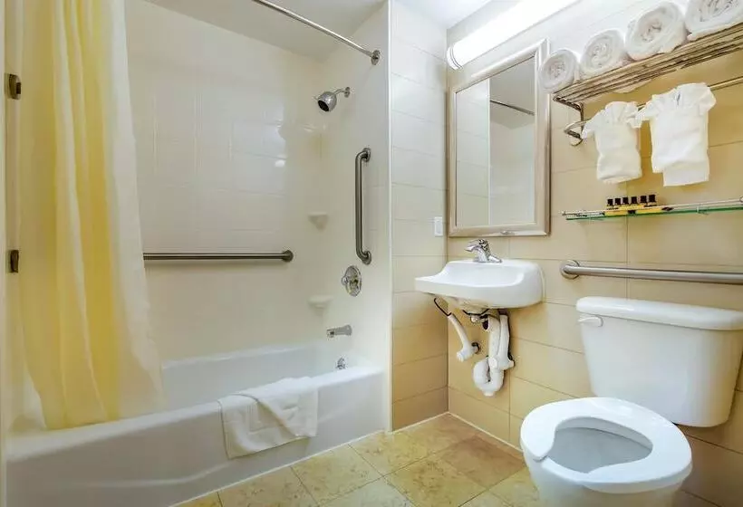 اتاق استاندارد با 2 تخت دوبل, Best Western Plus Plaza