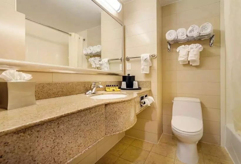 اتاق استاندارد با 2 تخت دوبل, Best Western Plus Plaza