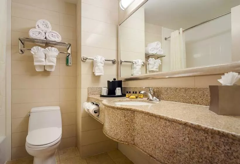 اتاق استاندارد با 2 تخت دوبل, Best Western Plus Plaza