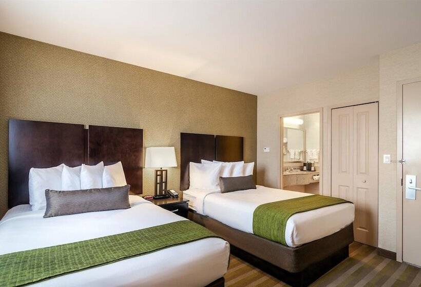 غرفه قياسيه سريرين مزدوجين, Best Western Plus Plaza