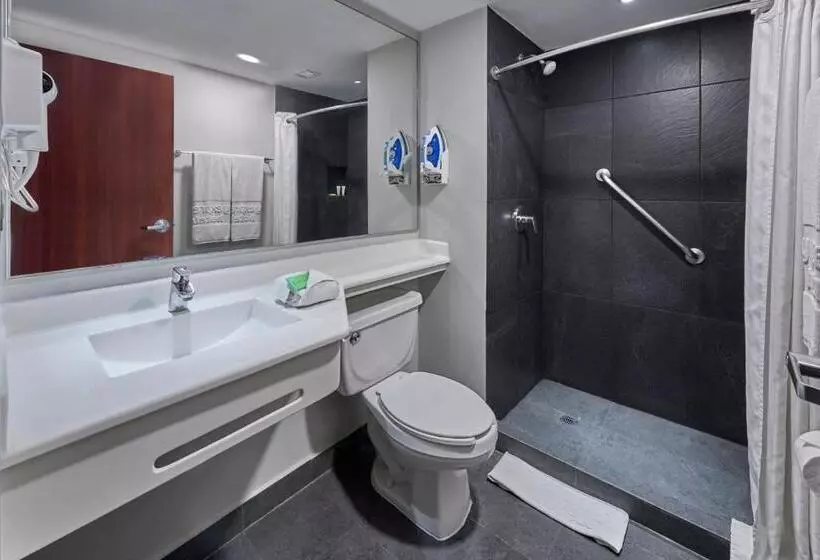 スタンダードルーム, City Express By Marriott Veracruz
