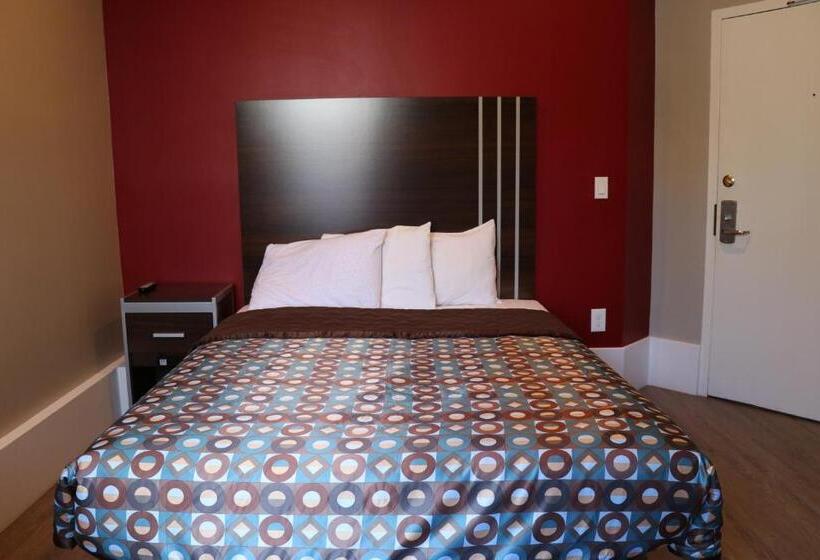 Номер Стандарт, Europa