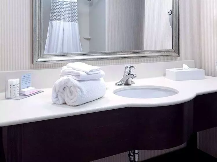 スタンダードルーム, Hampton Inn & Suites By Hilton Edmonton Intl Airport