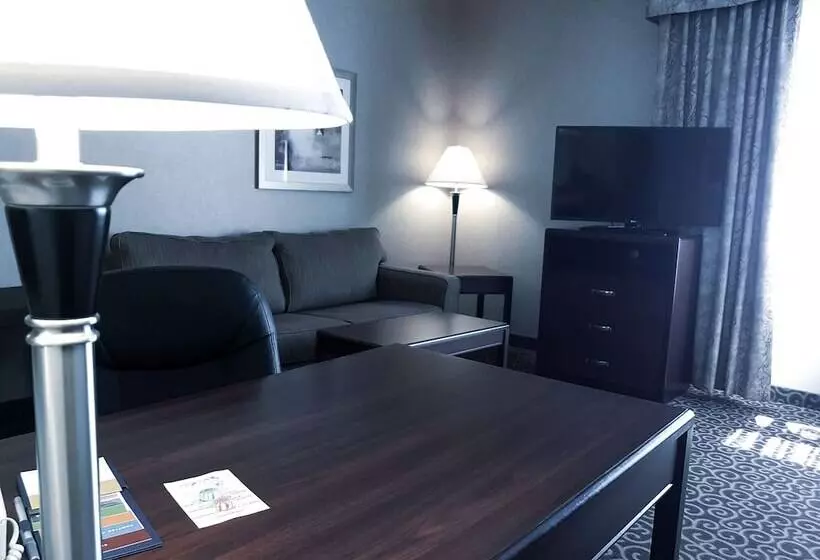 スタンダードルーム, Hampton Inn & Suites By Hilton Edmonton Intl Airport