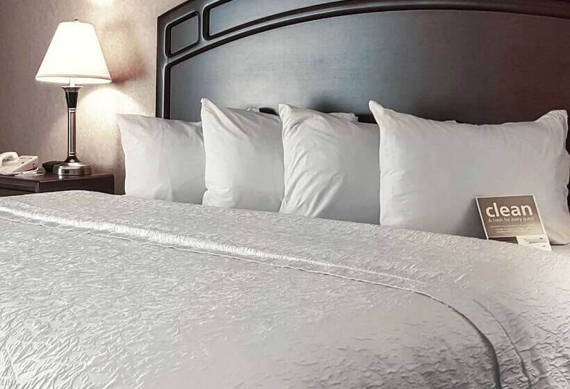 标准间, Hampton Inn & Suites By Hilton Edmonton Intl Airport