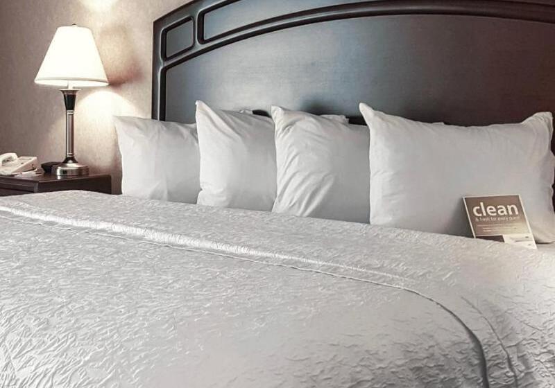 غرفة قياسية سرير كينج, Hampton Inn & Suites By Hilton Edmonton Intl Airport