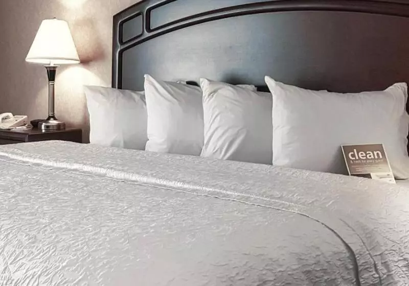 キングサイズベッドのスタンダードルーム, Hampton Inn & Suites By Hilton Edmonton Intl Airport