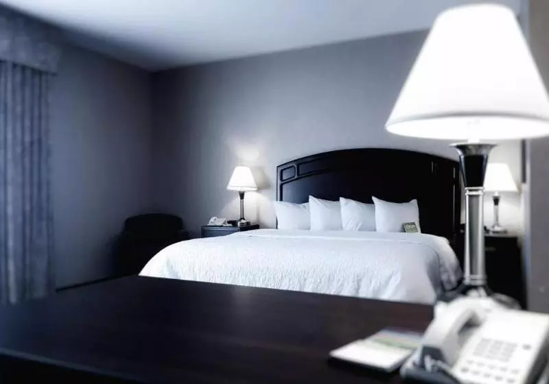 キングサイズベッドのスタンダードルーム, Hampton Inn & Suites By Hilton Edmonton Intl Airport