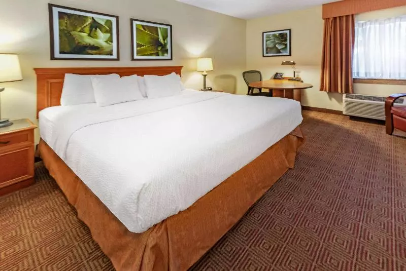 スタンダードスタジオ, Hampton Inn & Suites By Hilton Edmonton Intl Airport