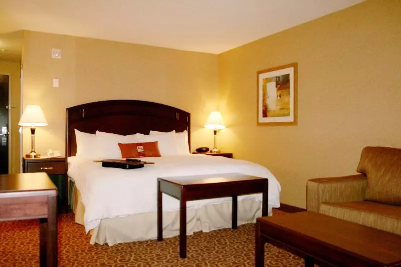 キングサイズベッドのスタンダードルーム, Hampton Inn & Suites By Hilton Edmonton Intl Airport