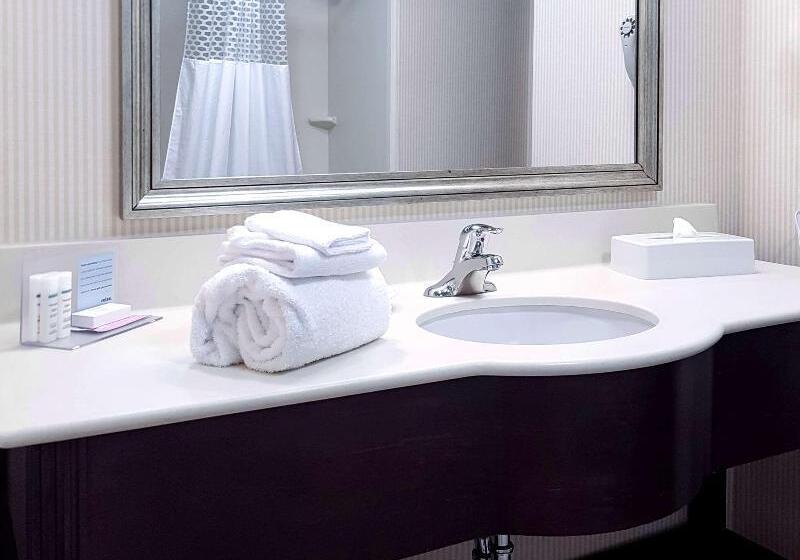 غرفة قياسية سرير كينج, Hampton Inn & Suites By Hilton Edmonton Intl Airport