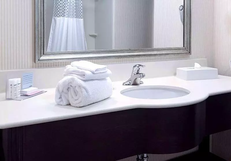 キングサイズベッドのスタンダードルーム, Hampton Inn & Suites By Hilton Edmonton Intl Airport