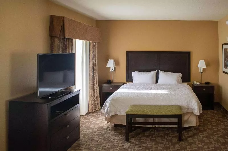 キングサイドベッドのスタンダードワンルーム, Hampton Inn & Suitesknoxville/north I75